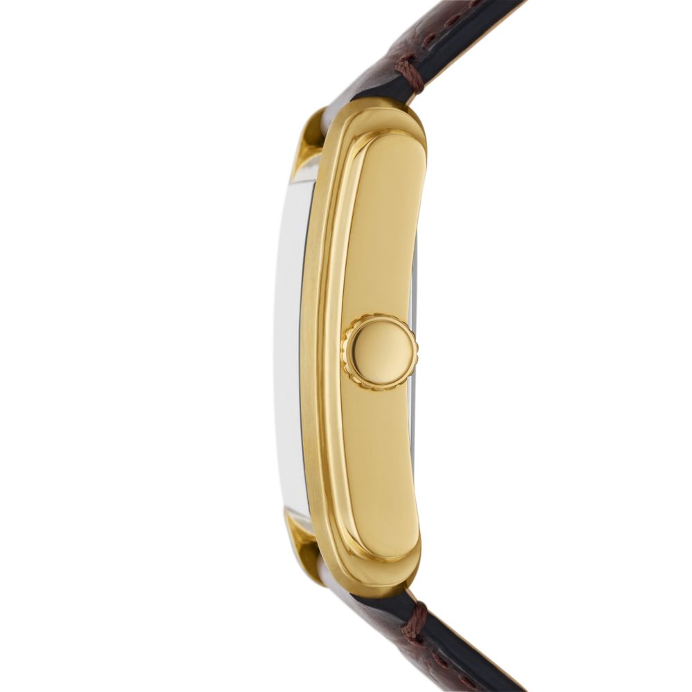 Fossil Carraway 30mm Three-Hand Brown Croco Leather Watch - FS6011 (1)