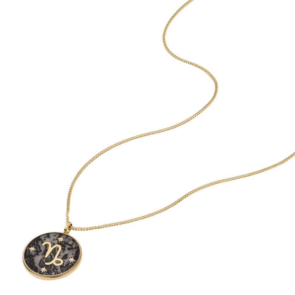 Fossil Women's Written in the Stars Gold Steel Gray Hematite Capricorn Pendant Necklace - JF04847710 (3)