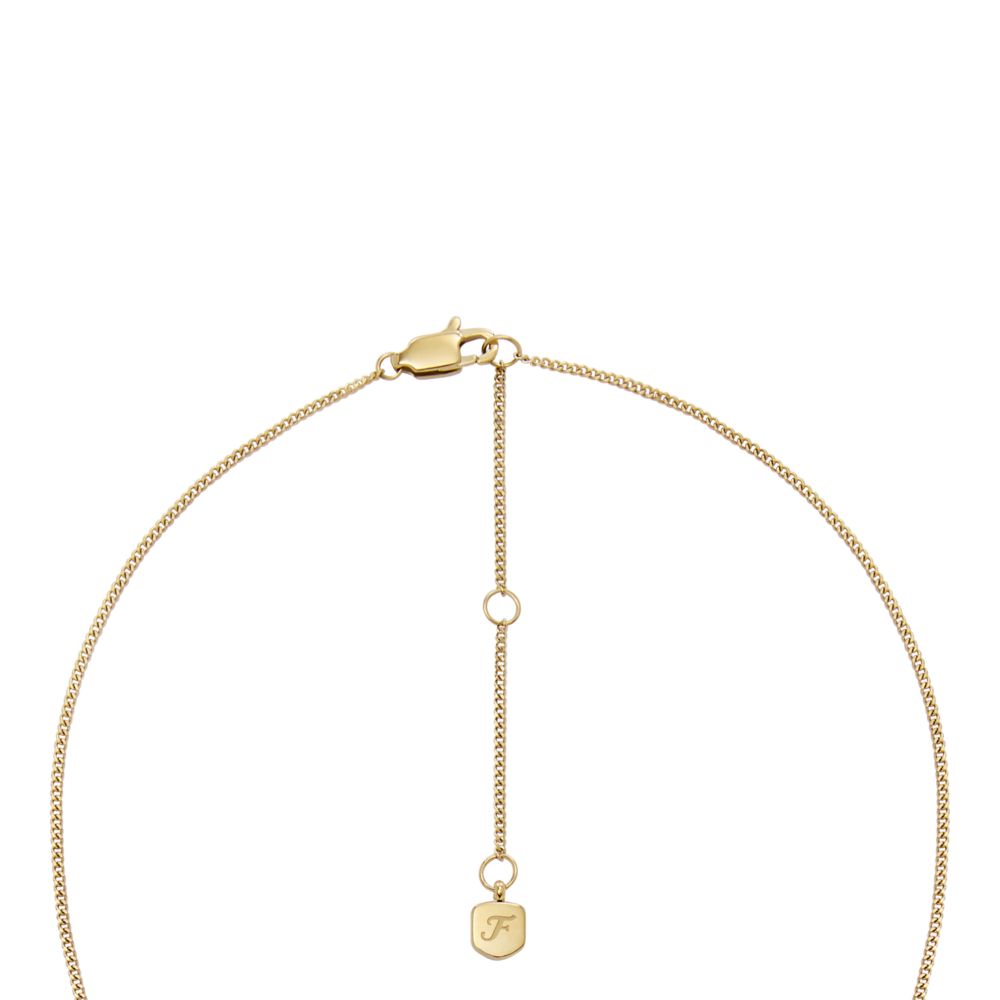 Fossil Women's Written in the Stars Gold Steel Gray Hematite Capricorn Pendant Necklace - JF04847710 (2)