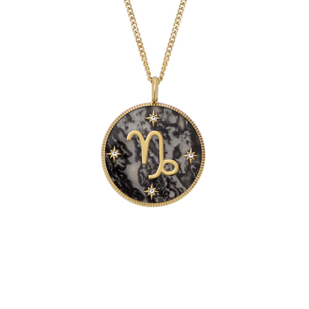 Fossil Women's Written in the Stars Gold Steel Gray Hematite Capricorn Pendant Necklace - JF04847710