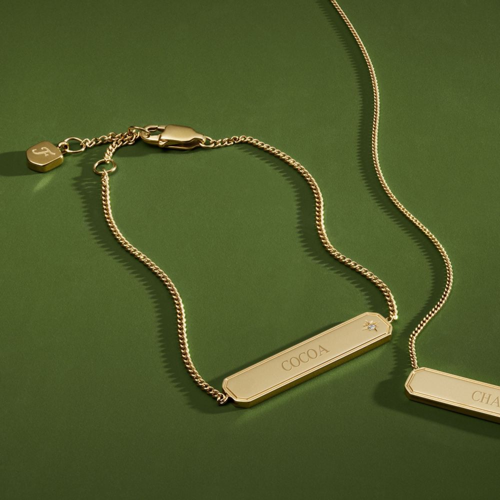 Fossil Women's Sadie Gold-Tone Stainless Steel ID Necklace -  JF04926710 (4)