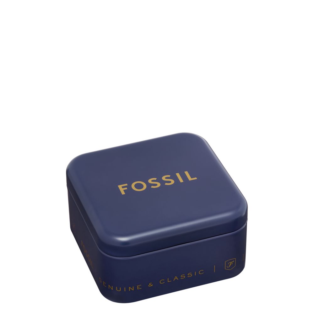 Fossil Women's Sutton Stainless Steel Butterfly Necklace and Earrings Gift Set -  JF04935SET (4)